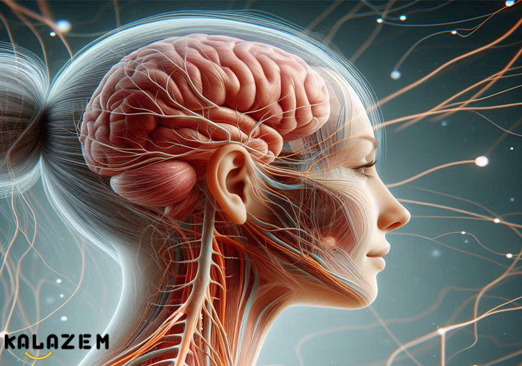 اثرات نوروپاتی الکلی