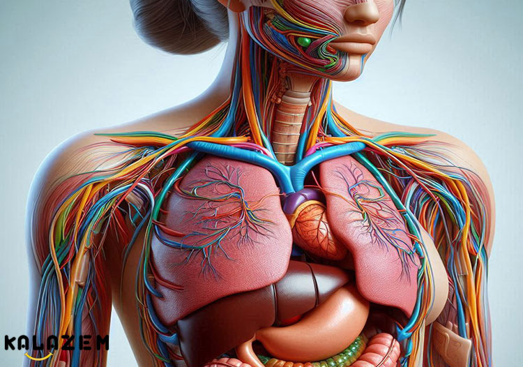 نحوه درمان هیپوکسمی