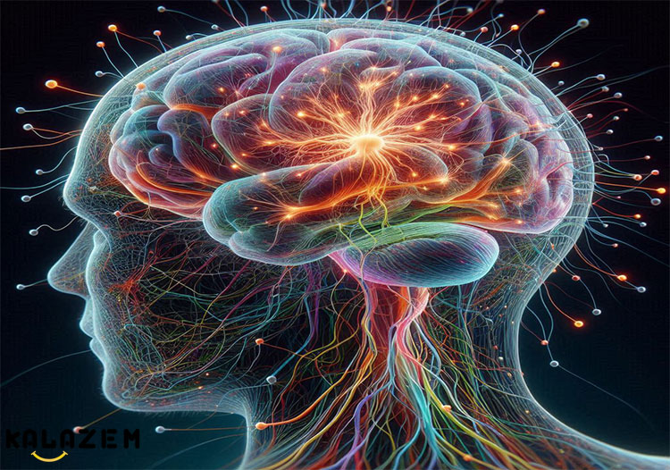 سیستم عصبی مرکزی (CNS) چیست؟