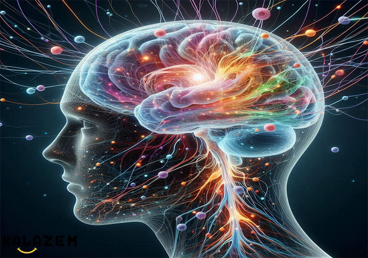 فیزیولوژی سیستم عصبی مرکزی